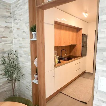 Moderne Et Spacieux Avec 2 Belles Terrasses Vu Sur Montagne Appartement