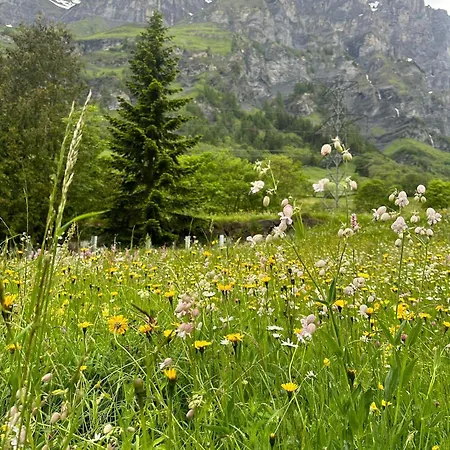 Lägenhet Moderne Et Spacieux Avec 2 Belles Terrasses Vu Sur Montagne